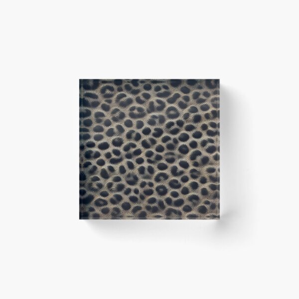 Item preview, Leopard colors designed and sold by Wildlife and marine life.