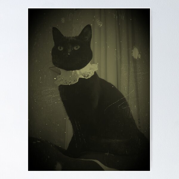 Item preview, Regal black cat designed and sold by Tracey  Bryant.