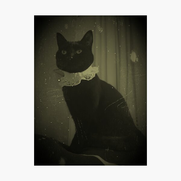 Item preview, Regal black cat designed and sold by Tracey  Bryant.