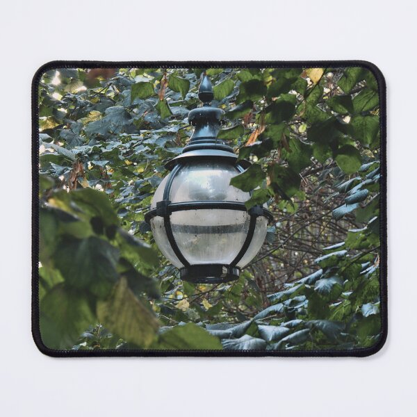 Item preview, Light Between the Leaves designed and sold by Cissa King Photography.