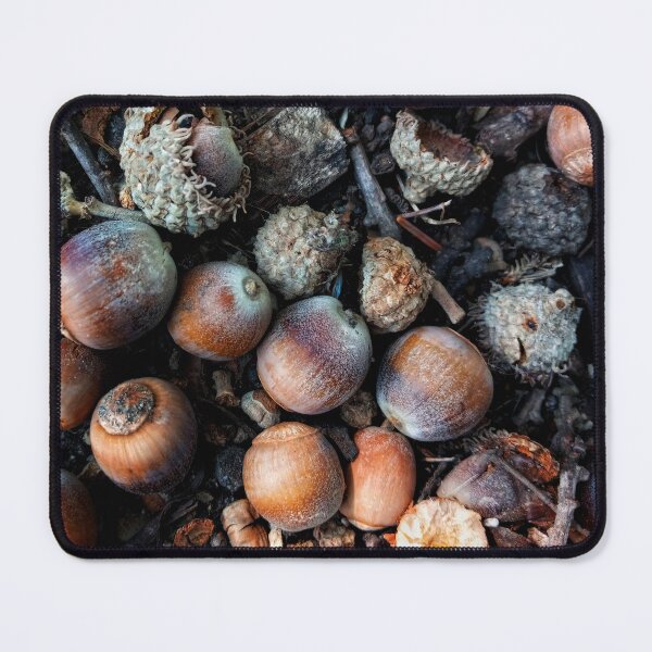 Item preview, Acorn cluster designed and sold by Dirtpathdesigns.