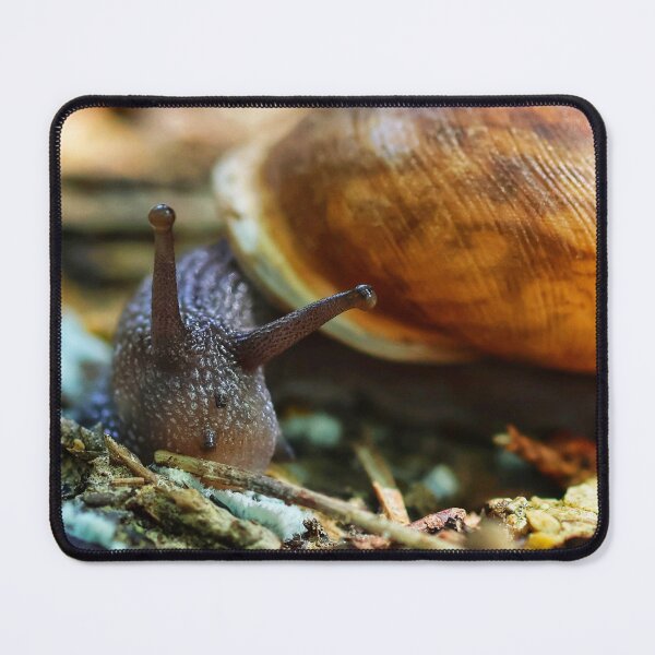 Item preview, Snail view two designed and sold by Dirtpathdesigns.