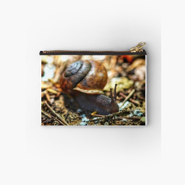 Item preview, Snail's view designed and sold by Dirtpathdesigns.