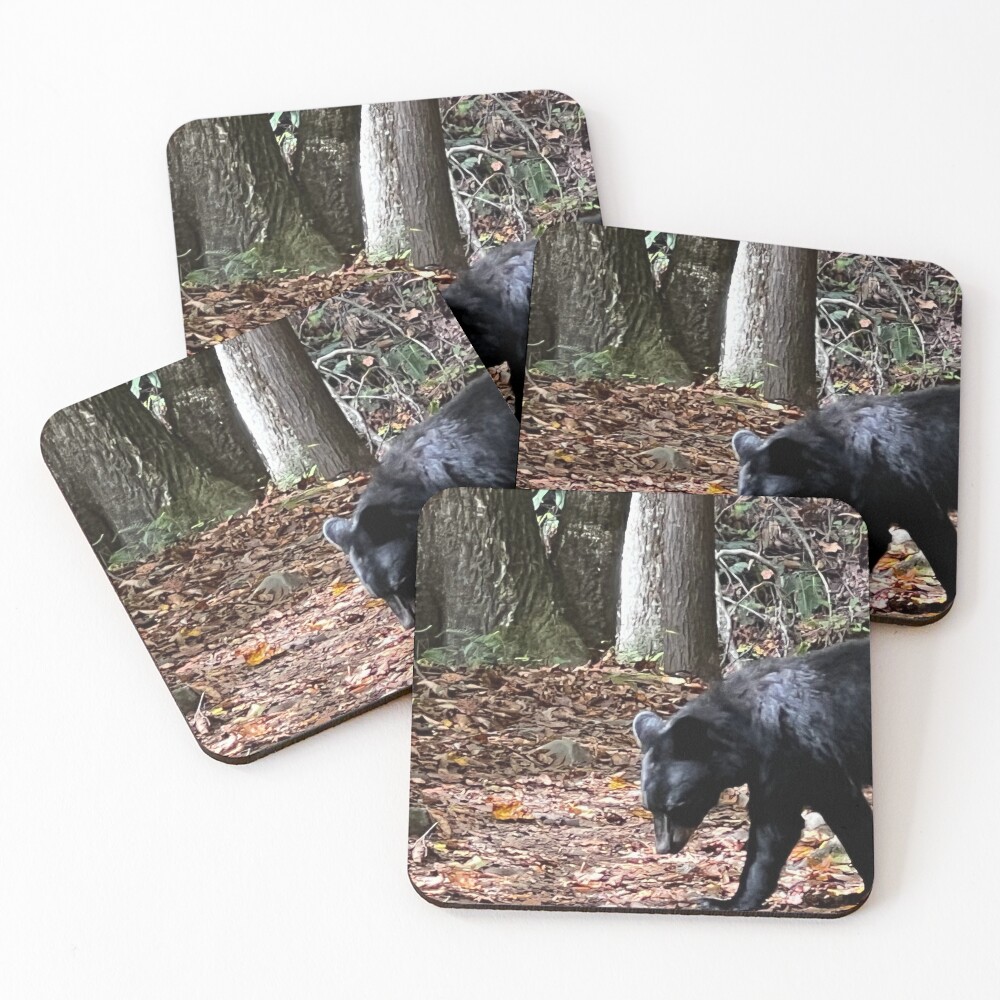 Item preview, Coasters (Set of 4) designed and sold by ErinCorePhoto.