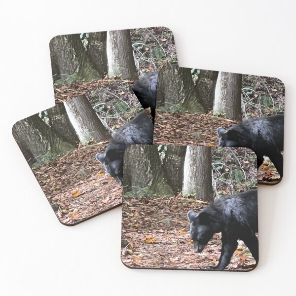 Item preview, BEAR designed and sold by ErinCorePhoto.