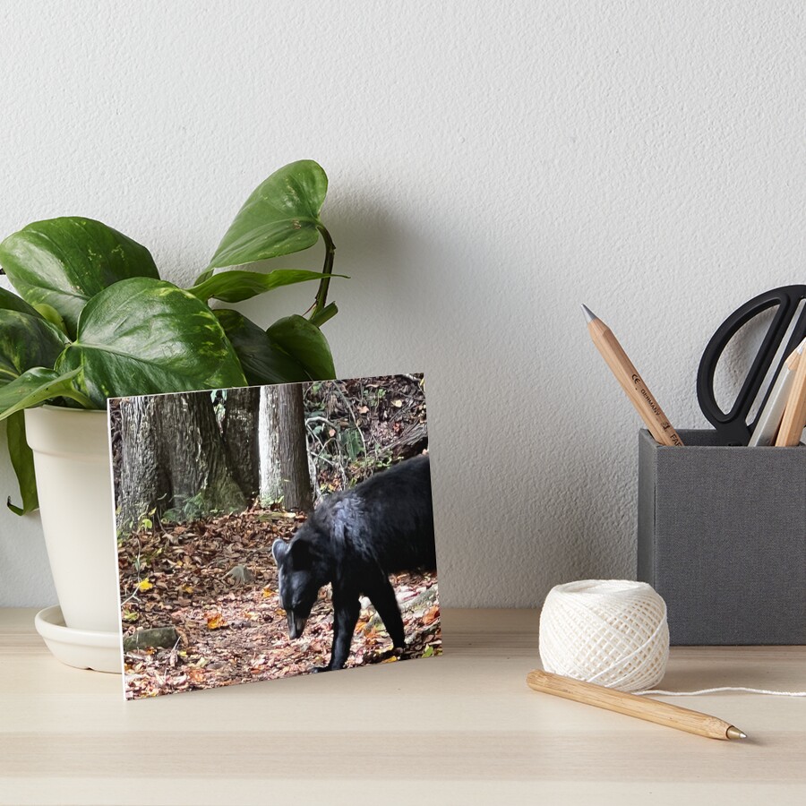 Item preview, Art Board Print designed and sold by ErinCorePhoto.