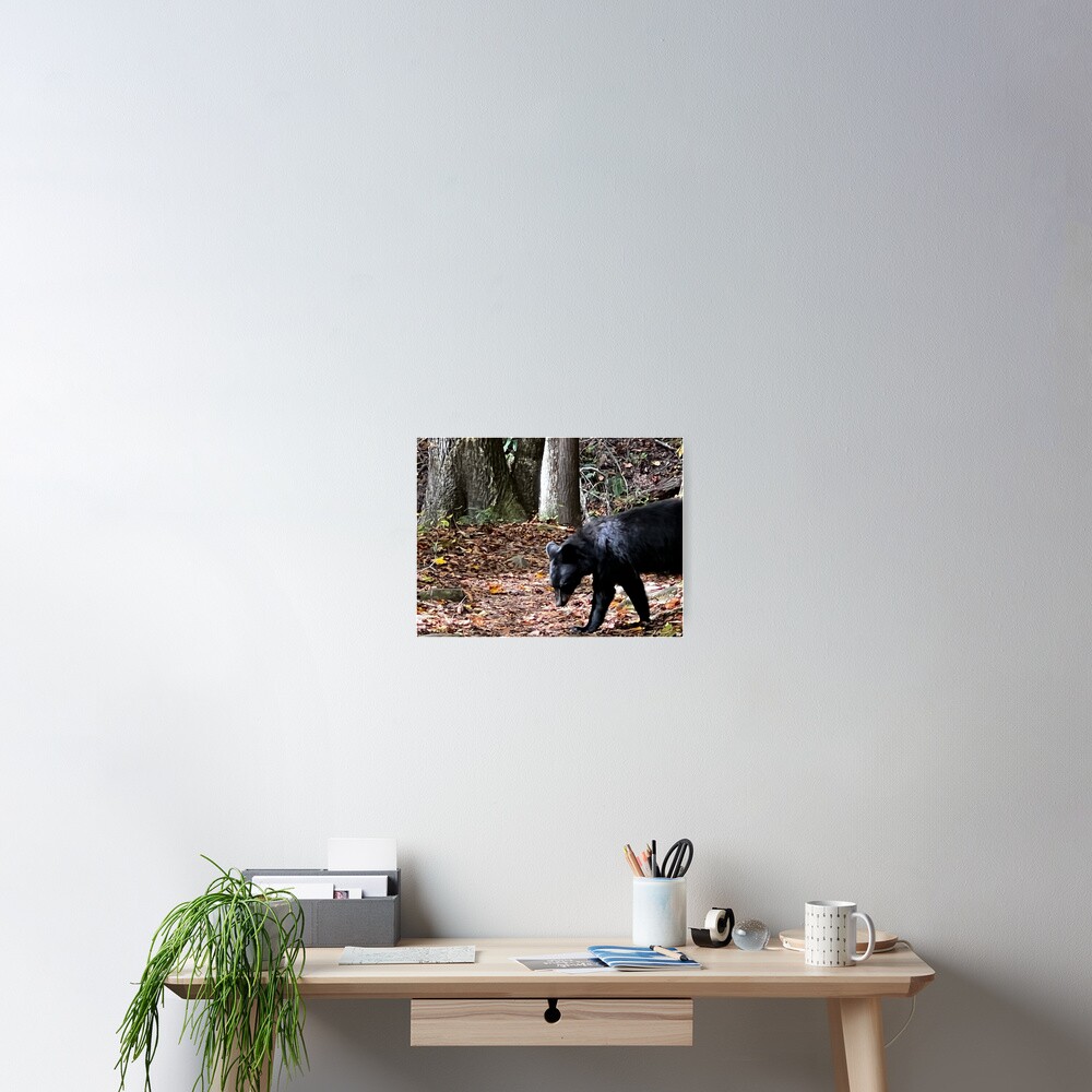 Item preview, Poster designed and sold by ErinCorePhoto.
