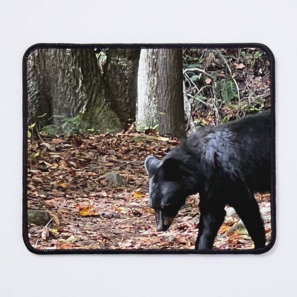 Item preview, BEAR designed and sold by ErinCorePhoto.