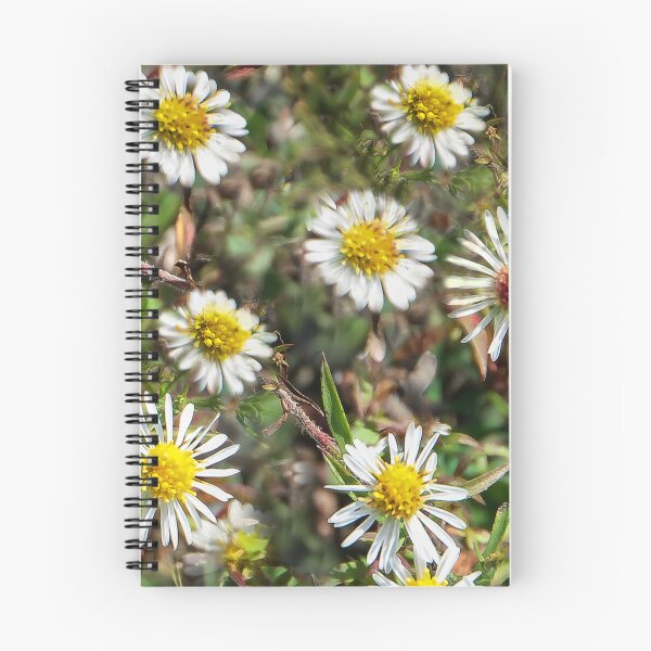 Item preview, Daisy Family designed and sold by heatherfriedman.