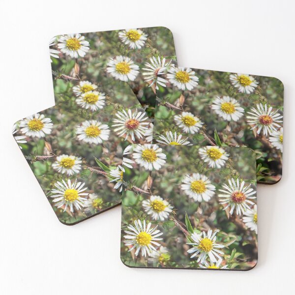 Item preview, Daisy Family designed and sold by heatherfriedman.