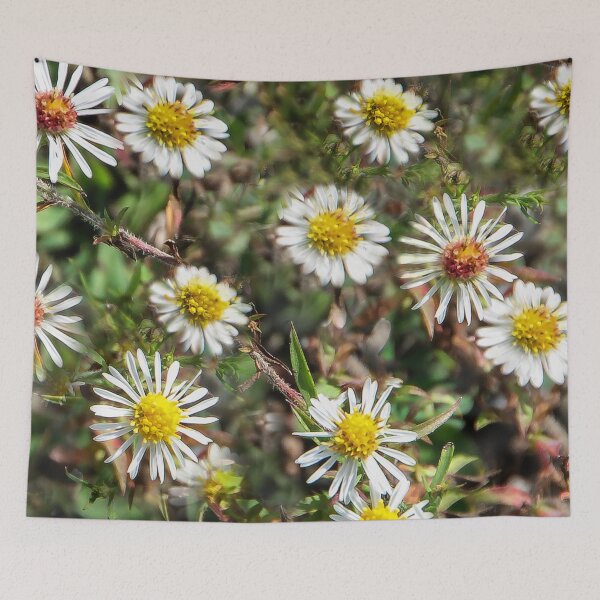 Item preview, Daisy Family designed and sold by heatherfriedman.