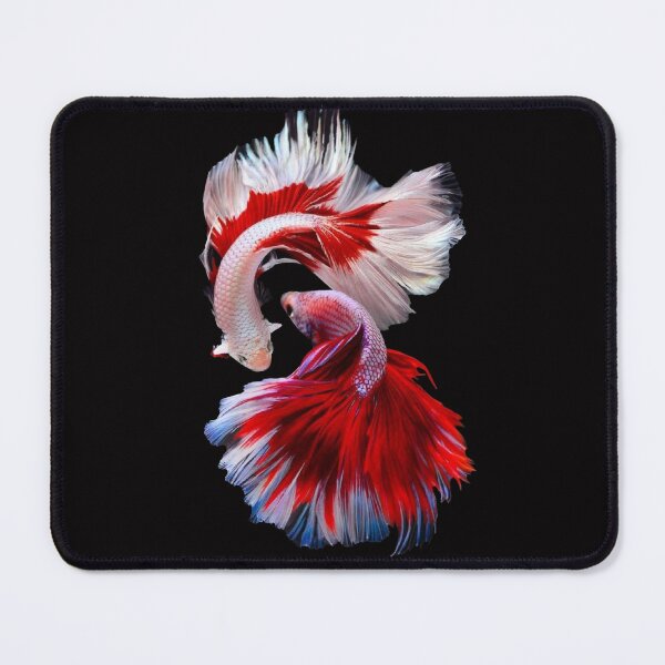 Item preview, 2 Beautiful Red Guppy fish Fancy Guppies Thai fighting fish, beautiful fish, guppies designed and sold by Bspaces.