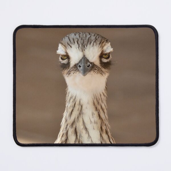 Item preview, Frown face curlew designed and sold by Mark Grimsley.