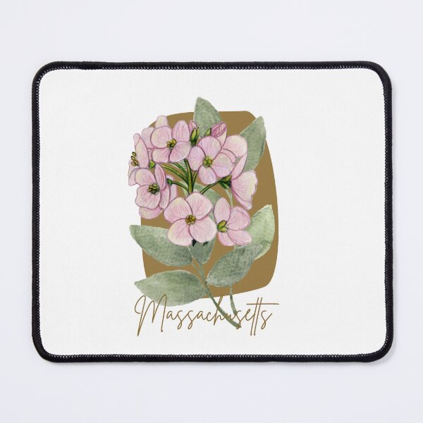 Item preview, Massachusetts Mayflower State Flower Ribbon Classic T-shirt Sticker designed and sold by ThinkNature!.