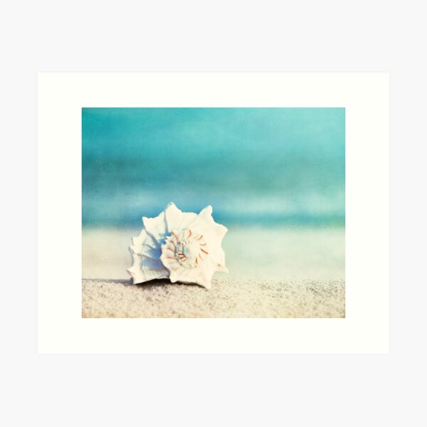 Item preview, "Paradise" - Aqua Beach Seashell  designed and sold by Carolyn Cochrane.