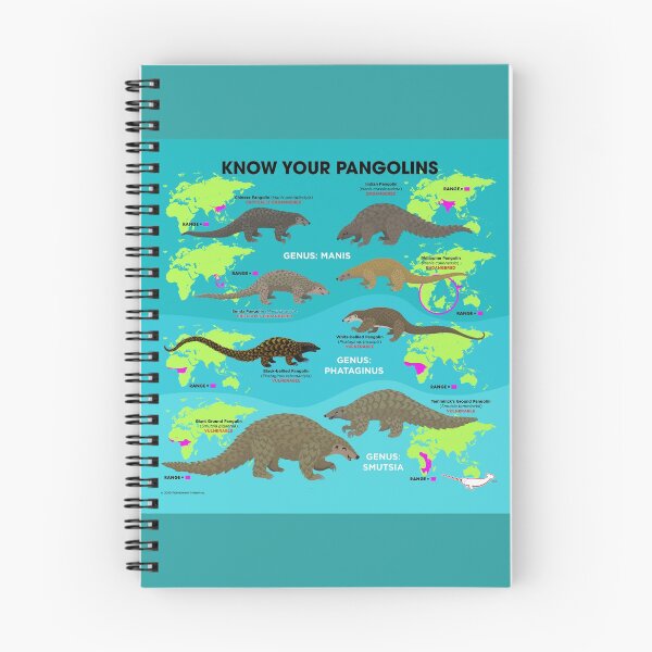 Aperçu de l'œuvre Connaissez vos pangolins créée et vendue par Peppermint Narwhal.