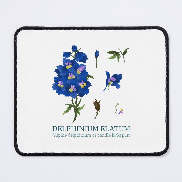 Item preview, DELPHINIUM ELATUM designed and sold by OwOlet.