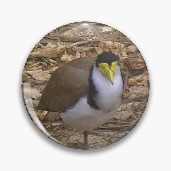 Item preview, Spur Winged Plover designed and sold by lezvee.