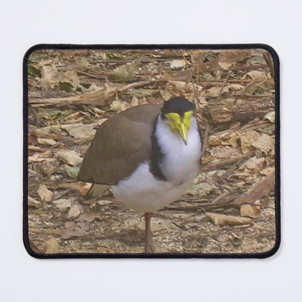 Item preview, Spur Winged Plover designed and sold by lezvee.