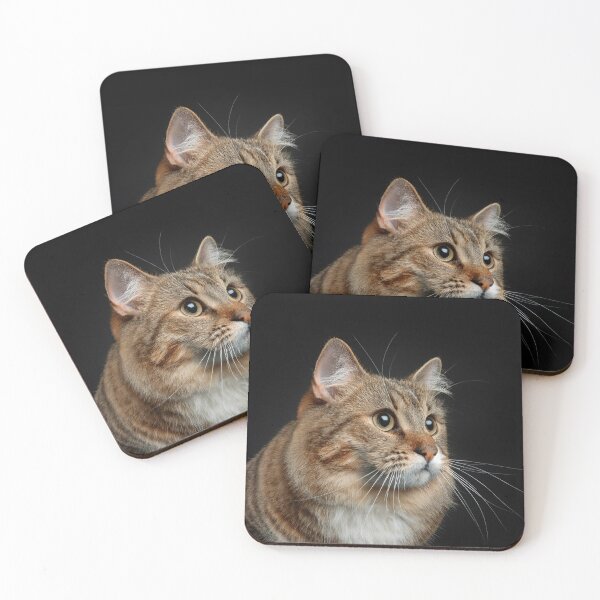 Item preview, cat versus dog designed and sold by psychoshadow.