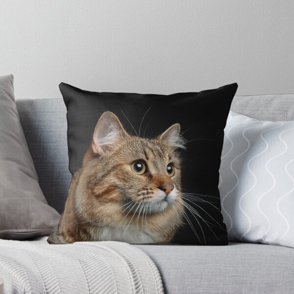 Item preview, cat versus dog designed and sold by psychoshadow.