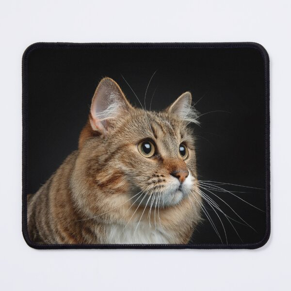 Item preview, cat versus dog designed and sold by psychoshadow.