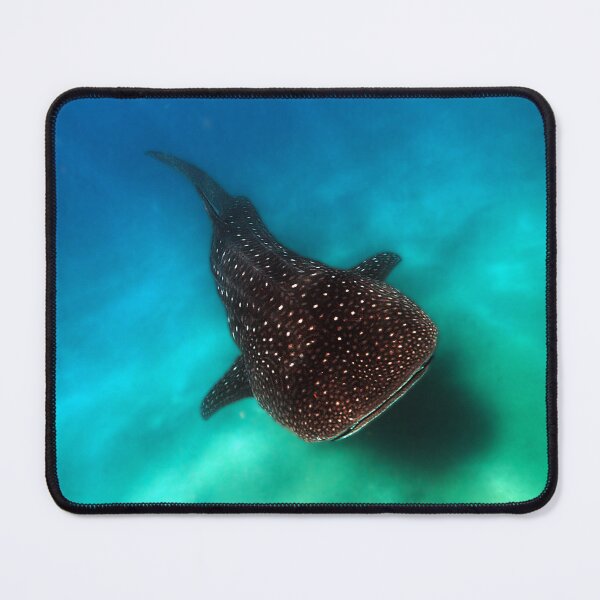 Item preview, Whaleshark designed and sold by sasson.