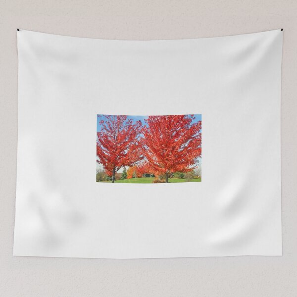 Item preview, A Fall Color Explosion!! designed and sold by Anthony Goldman.