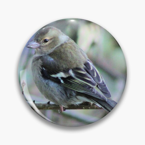 Item preview, chaffinch designed and sold by KathleenDawson.