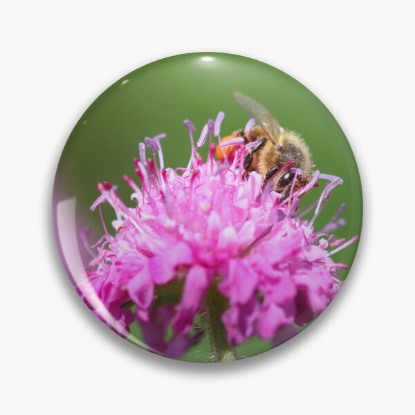 Item preview, Honeybee collecting pink pollen designed and sold by GreyFeatherPhot.