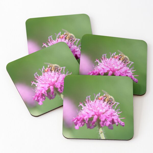 Item preview, Honeybee collecting pink pollen designed and sold by GreyFeatherPhot.