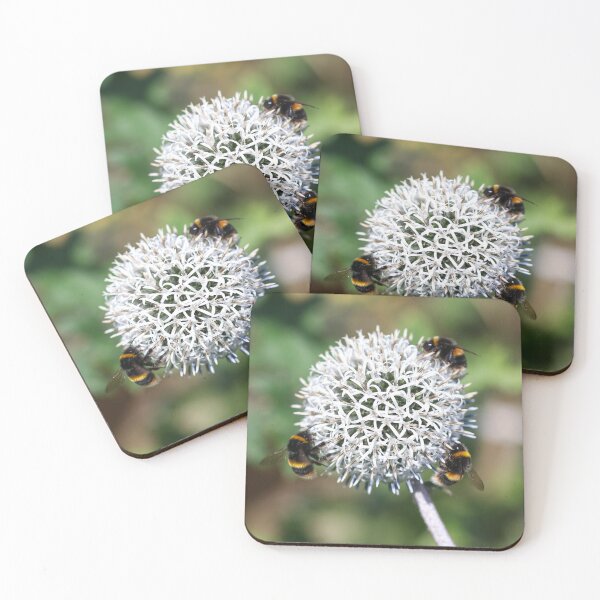 Item preview, Buff tailed bumblebees on globe thistle designed and sold by GreyFeatherPhot.