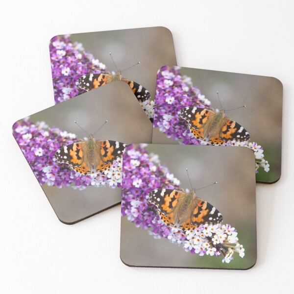 Item preview, Small tortoiseshell on buddleia designed and sold by GreyFeatherPhot.