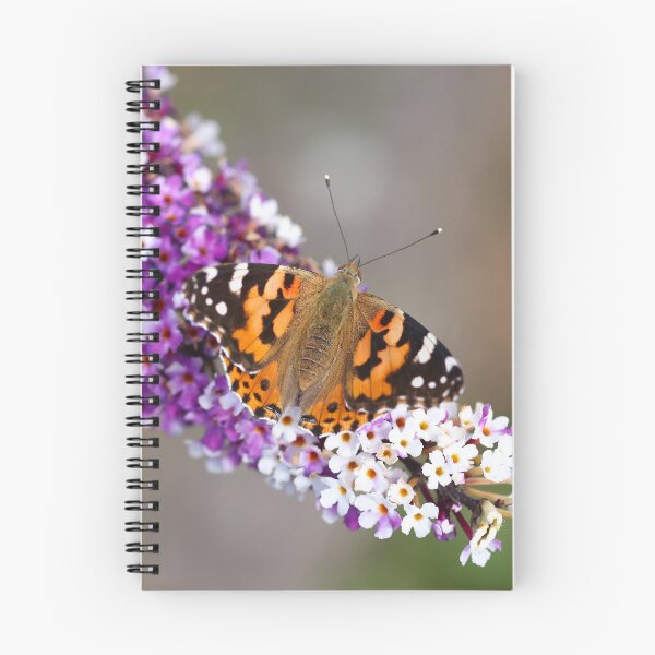 Item preview, Small tortoiseshell on buddleia designed and sold by GreyFeatherPhot.