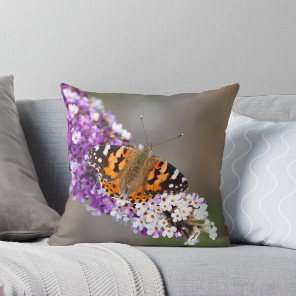 Item preview, Small tortoiseshell on buddleia designed and sold by GreyFeatherPhot.