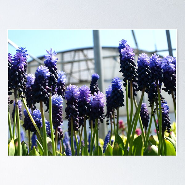 Item preview, PURPLE RAIN designed and sold by Sharon A Henson.