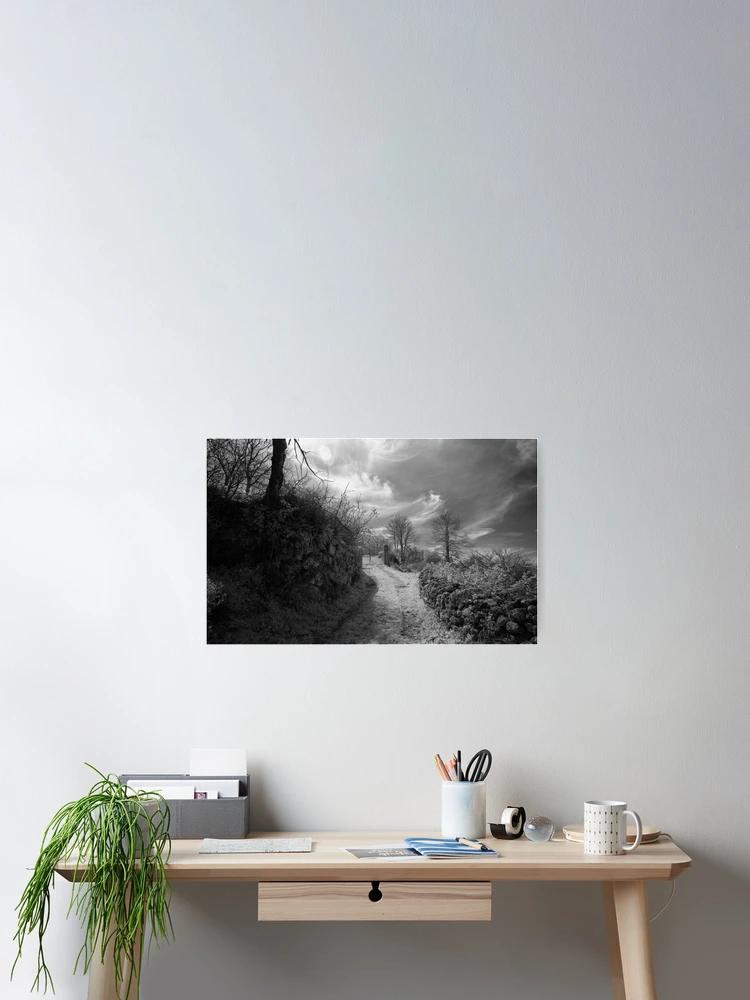 Thumbnail 2 of 3, Poster, Cold winter day designed and sold by Rafael López.