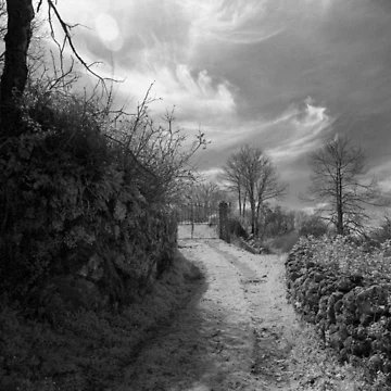 Artwork thumbnail, Cold winter day by Rafael López