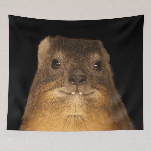 Item preview, Rock Hyrax Photo - Dassie | Cute Vampire Potato designed and sold by matchakpop.