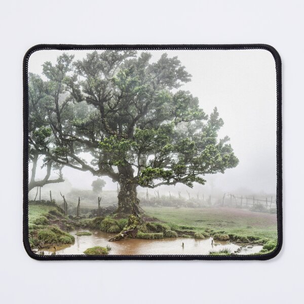 Item preview, Fanal forest 05 designed and sold by Weston  Westmoreland.