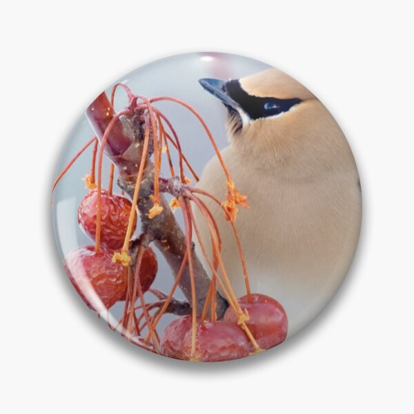 Item preview, Cedar Waxwing designed and sold by Yannik Hay.