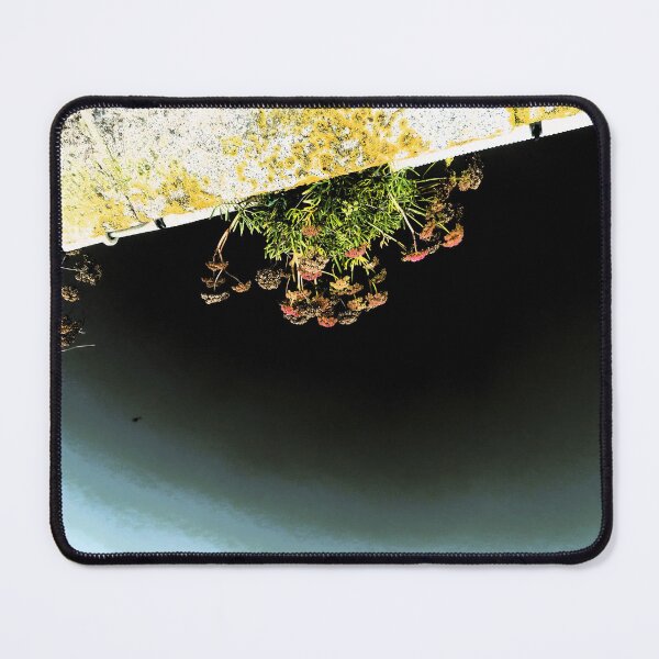 Item preview, ANATOMY OF A FALL designed and sold by ART22.