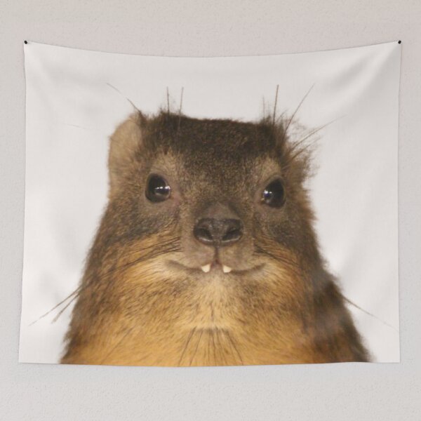 Item preview, Rock Hyrax Photo - Dassie | Cute Vampire Potato designed and sold by matchakpop.