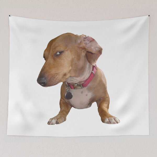 Item preview, Suspicious Dog Meme Illustration designed and sold by FilipeFerreira.