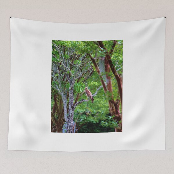 Item preview, Hawk Watching designed and sold by Cynthia48.