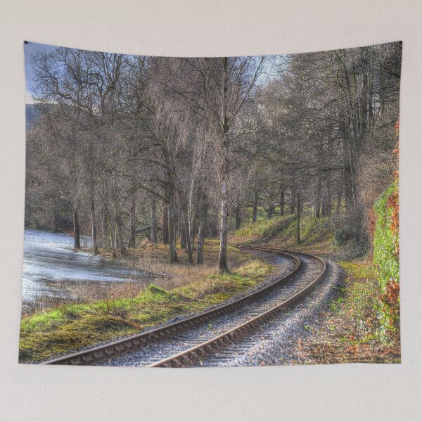 Item preview, Lake Windermere Steam Rail Track  designed and sold by Londonimages.