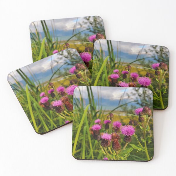 Item preview, Thistle and Mountains in Haines, Alaska designed and sold by imerikana.