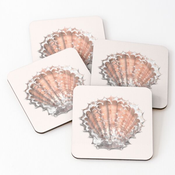 Item preview, Mermaid Chest - Icy Shell  designed and sold by vardhina.