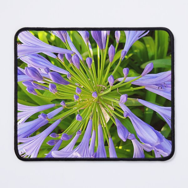 Item preview, purple summer flower designed and sold by Tereza Pilar  Art.