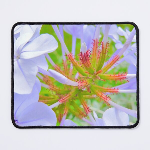 Item preview, purple flower designed and sold by Tereza Pilar  Art.